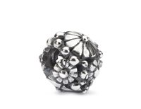 Charm Trollbeads in Plata DONI DELLA NATURA